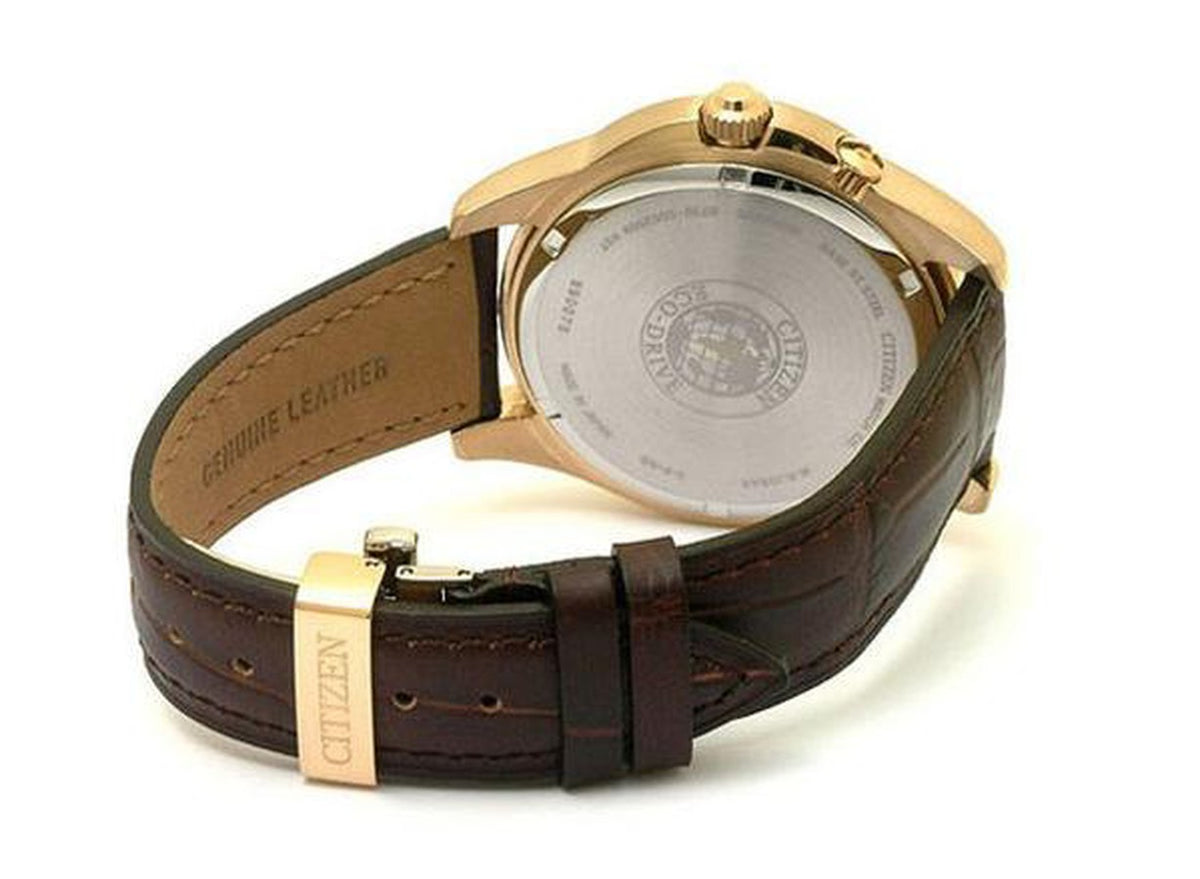 Citizen Eco-Drive Calendar Moon Phase Leather Strap Men's Watch