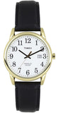 Timex Easy Reader Leather Strap Men's Watch TW2P75700