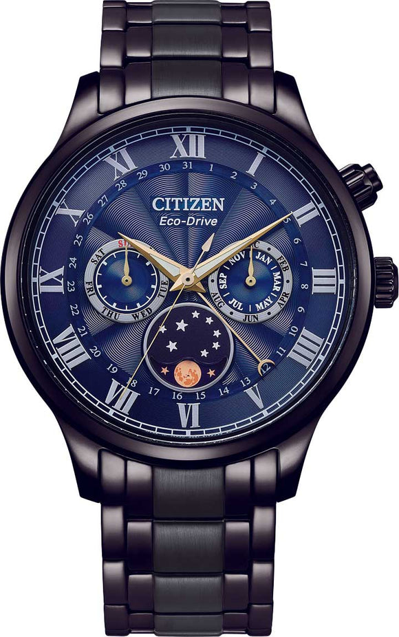 Citizen Eco-Drive Moonphase Dial Black Stainless Steel Men's Watch AP1055-87L