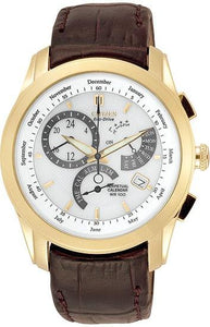 Citizen Eco-Drive Perpetual Calendar Men's Watch BL8006-07A