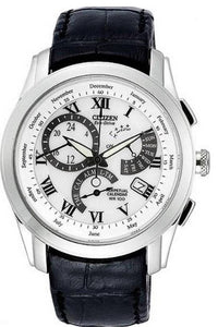 Citizen Eco-Drive Perpetual Calendar Leather Strap Men's Watch BL8000-03A